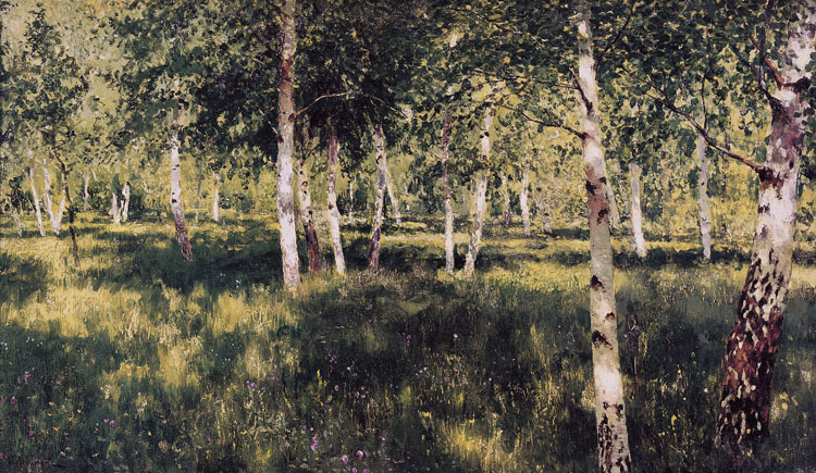 Birch Grove (nn02)